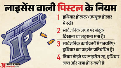 Who Can Get a Firearm Licence and Can You Carry a Pistol on a Flight? Know All the Rules