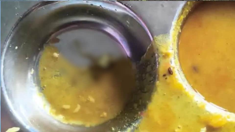 Dead frog found in students' food at Navodaya Vidyalaya.