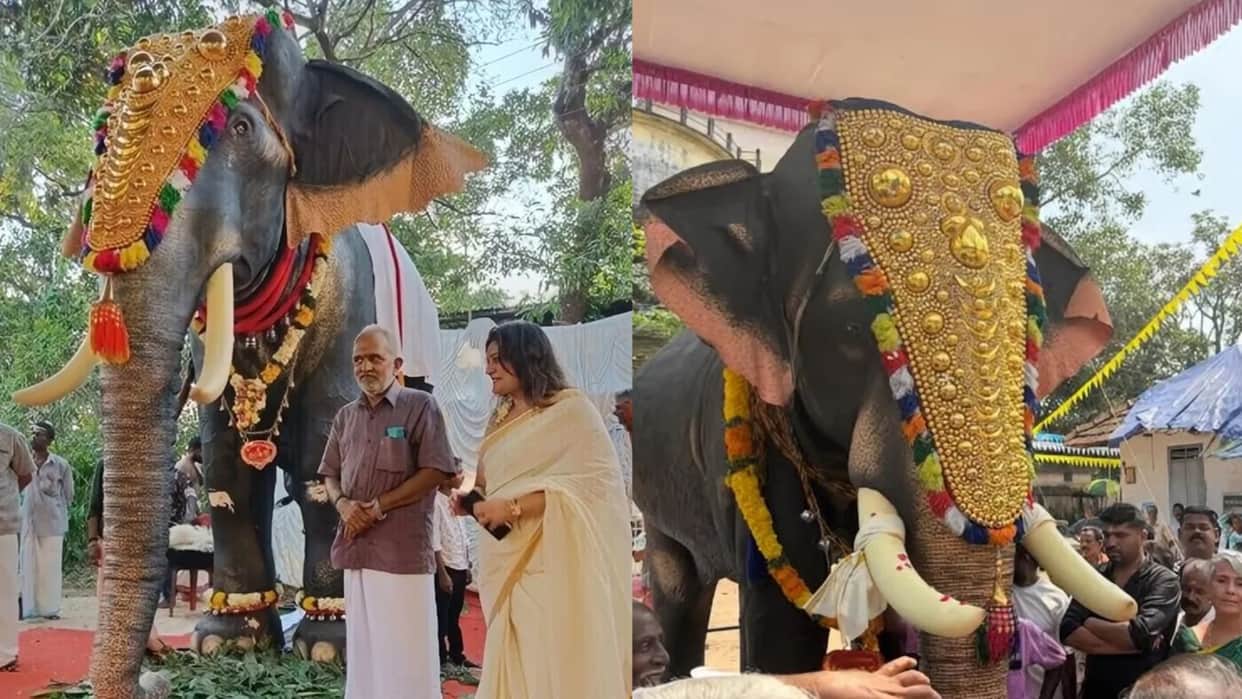 Mahakal Shahi Sawari Tradition Meets Tech as PETA Offers Robotic Elephant to Ujjain Temple