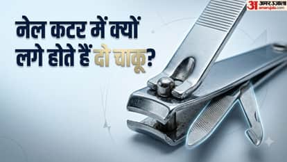 नेलकटर के फायदे