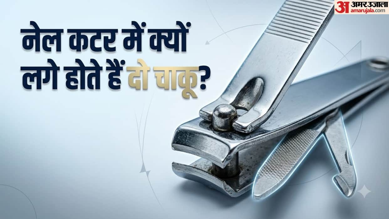 Nail Clipper Secrets: Why Are There Two Extra Blades in a Nail Cutter? Hidden Uses Explained in hindi