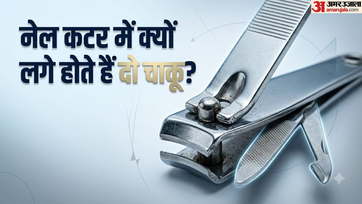 Nail Clipper Secrets: Why Are There Two Extra Blades in a Nail Cutter? Hidden Uses Explained in hindi