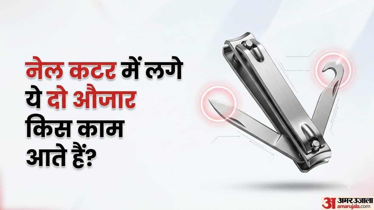 Not Just for Cutting Nails What Are the Two Extra Tools on Your Nail Clipper Actually Used For