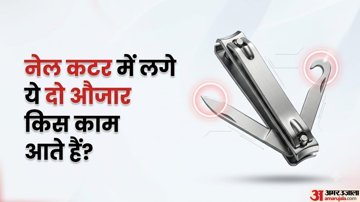 Not Just for Cutting Nails What Are the Two Extra Tools on Your Nail Clipper Actually Used For