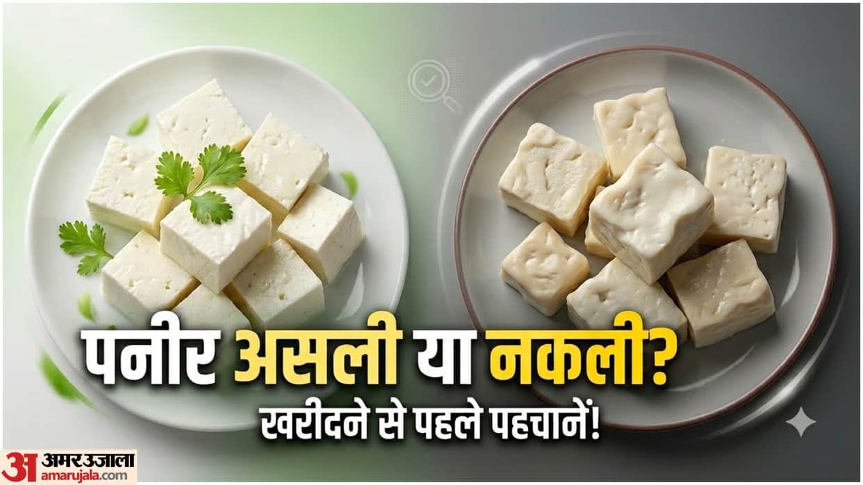 Fake Paneer Alert: How to Identify Real and Adulterated Paneer Before Buying