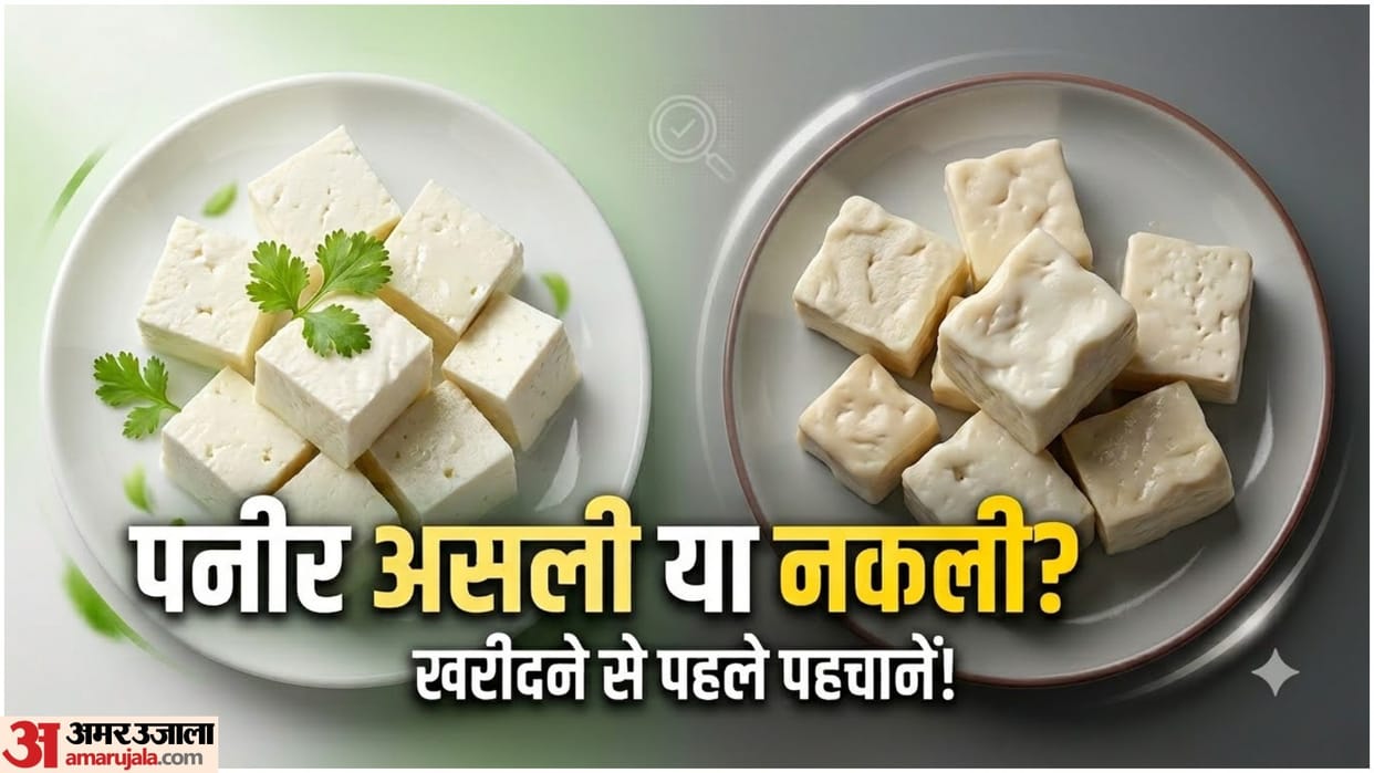 Fake Paneer Alert: How to Identify Real and Adulterated Paneer Before Buying
