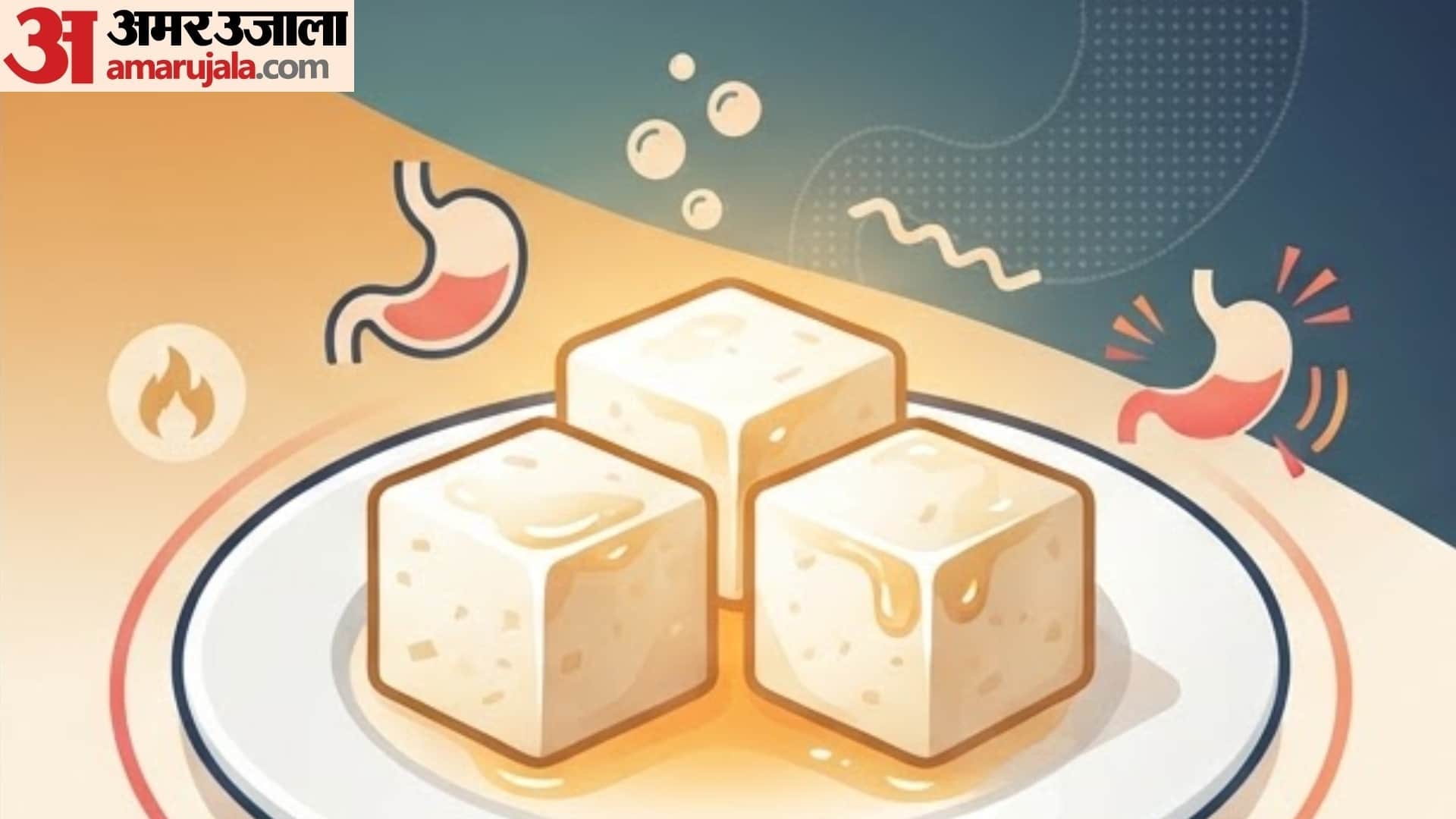 side effect of eating analog paneer in hindi fake paneer khane ke kya nuksan hain