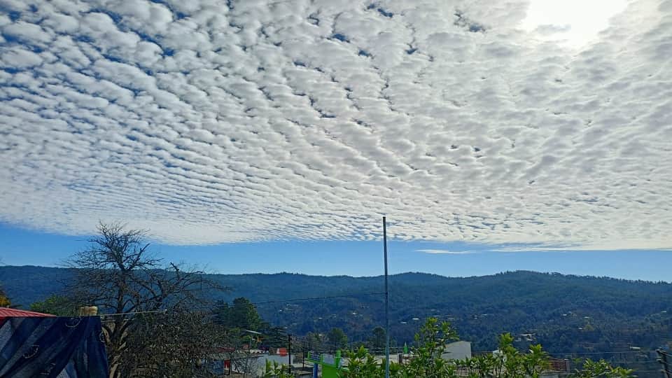 World Photography Day 2020: Photos sent by Amar Ujala readers on World Photography Day