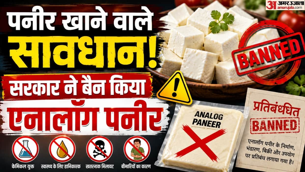 how to identify Analogue Paneer and original paneer mein kya fark hota hai