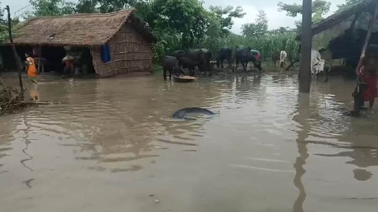 गांव में भरा बाढ़ का पानी