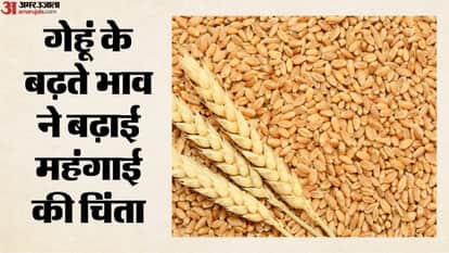 गेहूं के बढ़ते भाव ने बढ़ाई महंगाई की चिंता