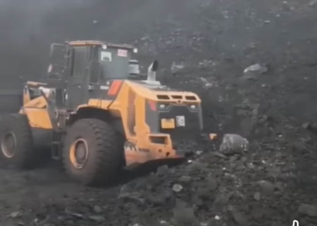 jharkhand-chatra-amrapali-magadh-coal-extortion-racket-nia-court-sentence-12-convic