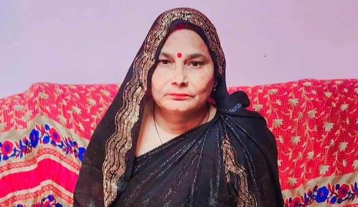 Kanpur Bike jolted by speed breaker woman riding pillion thrown off falls unconscious on road death at Hallet