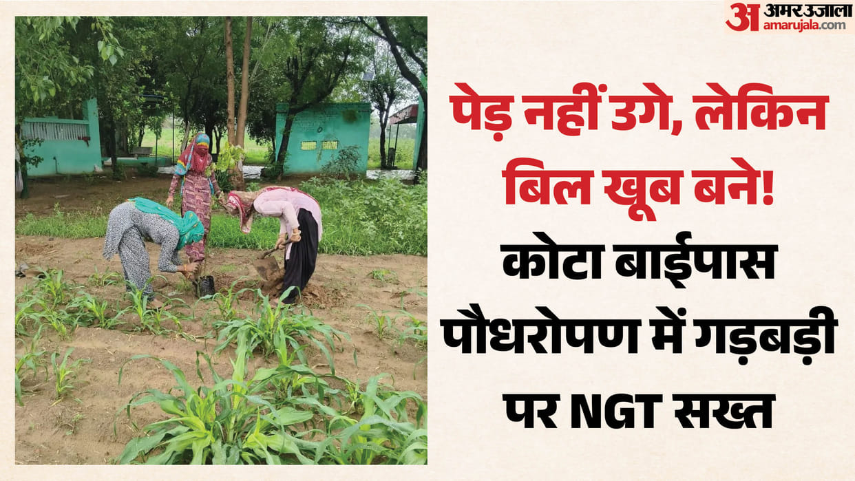 NGT Exposes Plantation Irregularities in Rajasthan, 10,000 Saplings Planted but None Survived