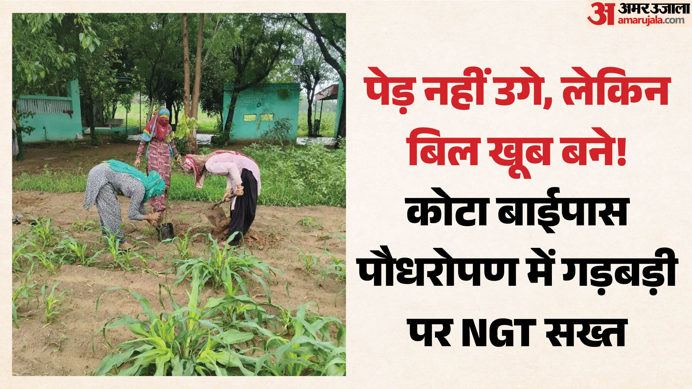 कोटा बाईपास पौधरोपण में गड़बड़ी पर NGT सख्त