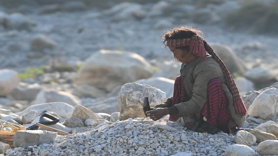 World Photography Day 2020: Photos sent by Amar Ujala readers on World Photography Day