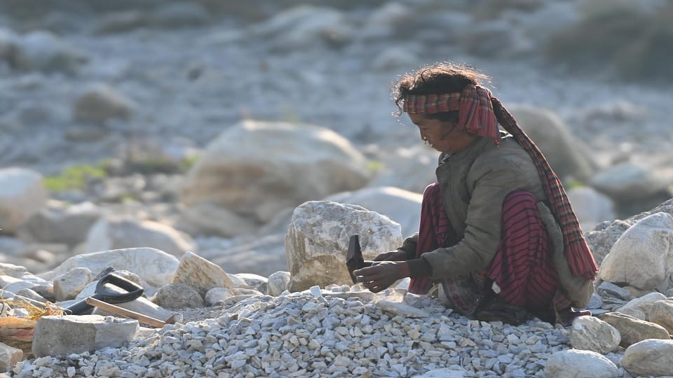 World Photography Day 2020: Photos sent by Amar Ujala readers on World Photography Day