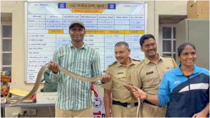 two snakes reportedly spotted In Shah Rukh Khan Mumbai bungalow Mannat lawn rescue team was called