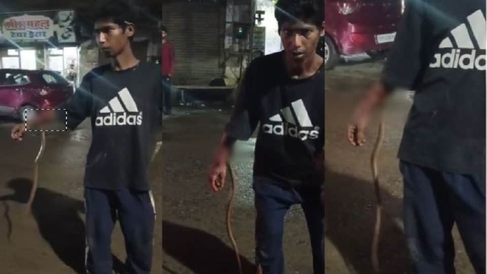 Intoxicated Man Allegedly Lets Snake Bite His Hand Repeatedly Video Goes Viral