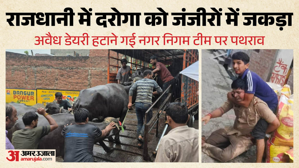 UP: Sub-Inspector struck with an iron chain in Lucknow; case registered against 24 people, 200 buffaloes remov