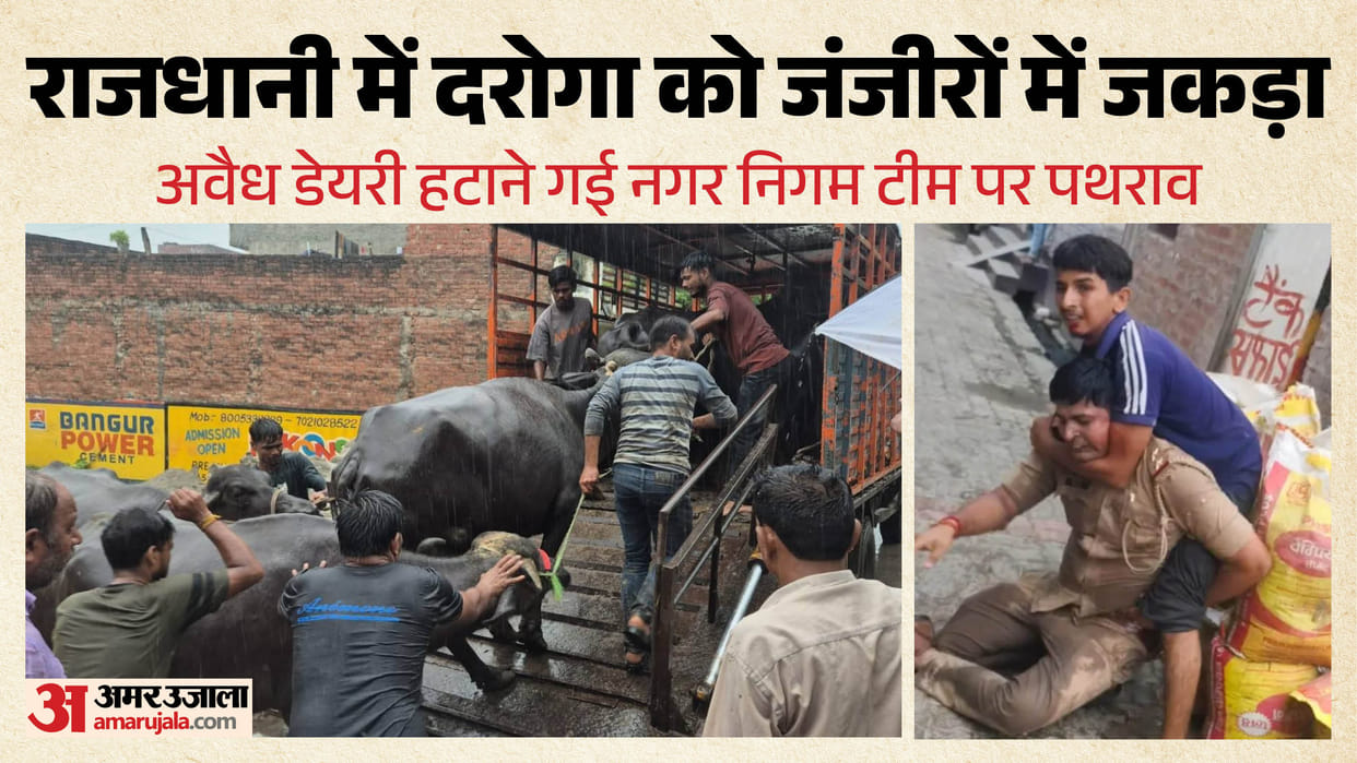 UP: Sub-Inspector struck with an iron chain in Lucknow; case registered against 24 people, 200 buffaloes remov
