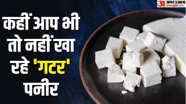 Up:केमिकल से तैयार हो रहा पनीर और खोआ, पाम ऑयल से घी; जानें असली ‘माल’ की पहचान करने के चार तरीके – Up: Fake Paneer, Khoya And Ghee Exposed Four Easy Ways To Check The Real Deal At Home