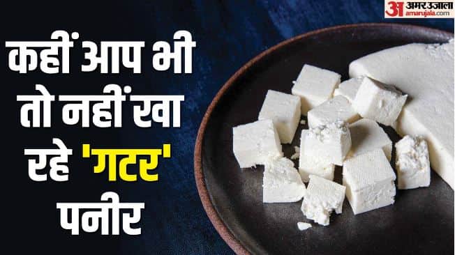 UP: Fake Paneer, Khoya and Ghee Exposed four Easy Ways to Check the Real Deal at Home