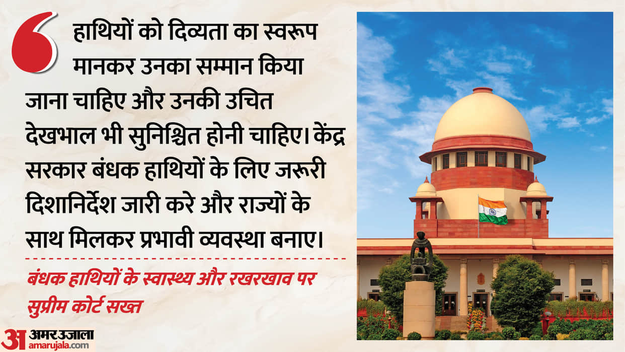 SC directs for proper upkeep of captive elephants; says respect of divinity must be extended to them