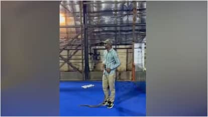 two snakes reportedly spotted In Shah Rukh Khan Mumbai bungalow Mannat lawn rescue team was called