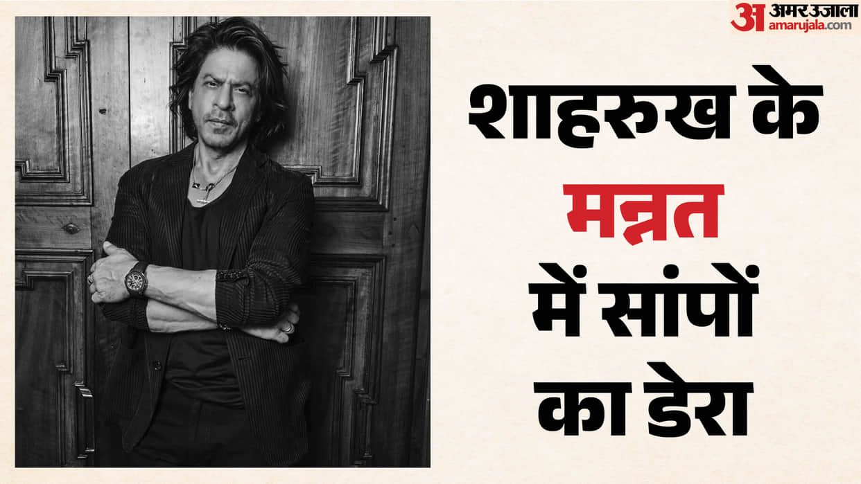 two snakes reportedly spotted In Shah Rukh Khan Mumbai bungalow Mannat lawn rescue team was called