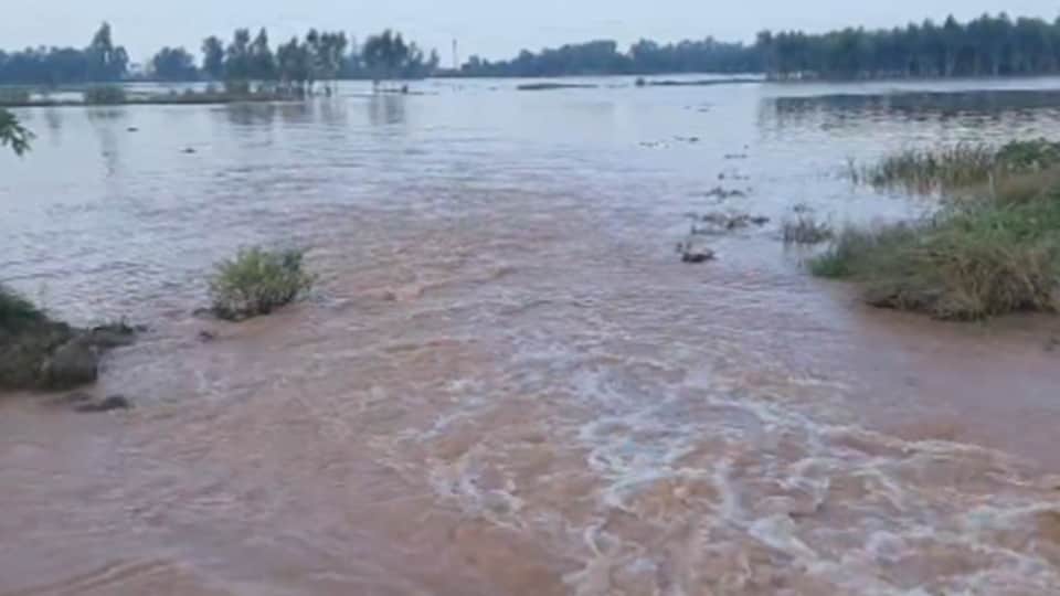 Water level of the Tangri River in Ambala begins to rise; more water inflow expected late into the night