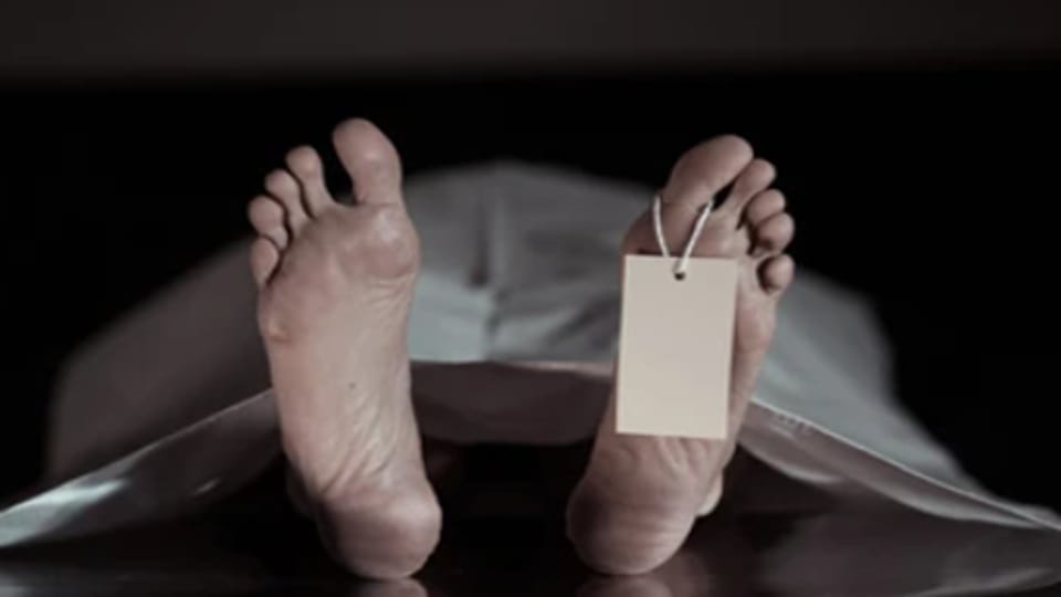 प्रतीकात्मक तस्वीर।