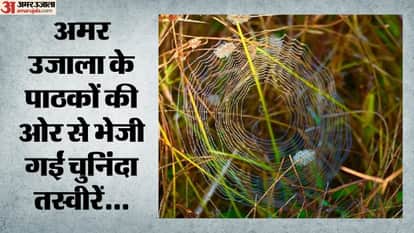 कुदरत का तानाबाना...