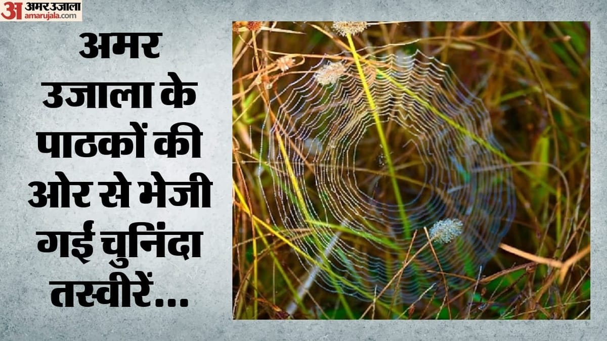 World Photography Day 2026:शब्दों पर भारी एक क्लिक, तस्वीरों में दर्ज हुआ जनजीवन, इतिहास और जज्बात – World Photography Day 2020: Photos Sent By Amar Ujala Readers On World Photography Day World Photography Day 2026:शब्दों पर भारी एक क्लिक, तस्वीरों में दर्ज हुआ जनजीवन, इतिहास और जज्बात – World Photography Day 2020: Photos Sent By Amar Ujala Readers On World Photography Day
