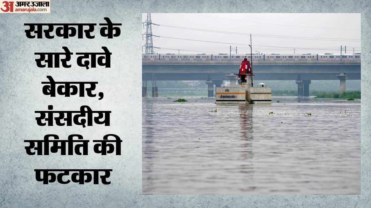 Despite spending crores of rupees, neither has Delhi's air been cleaned nor the health of the Yamuna improved