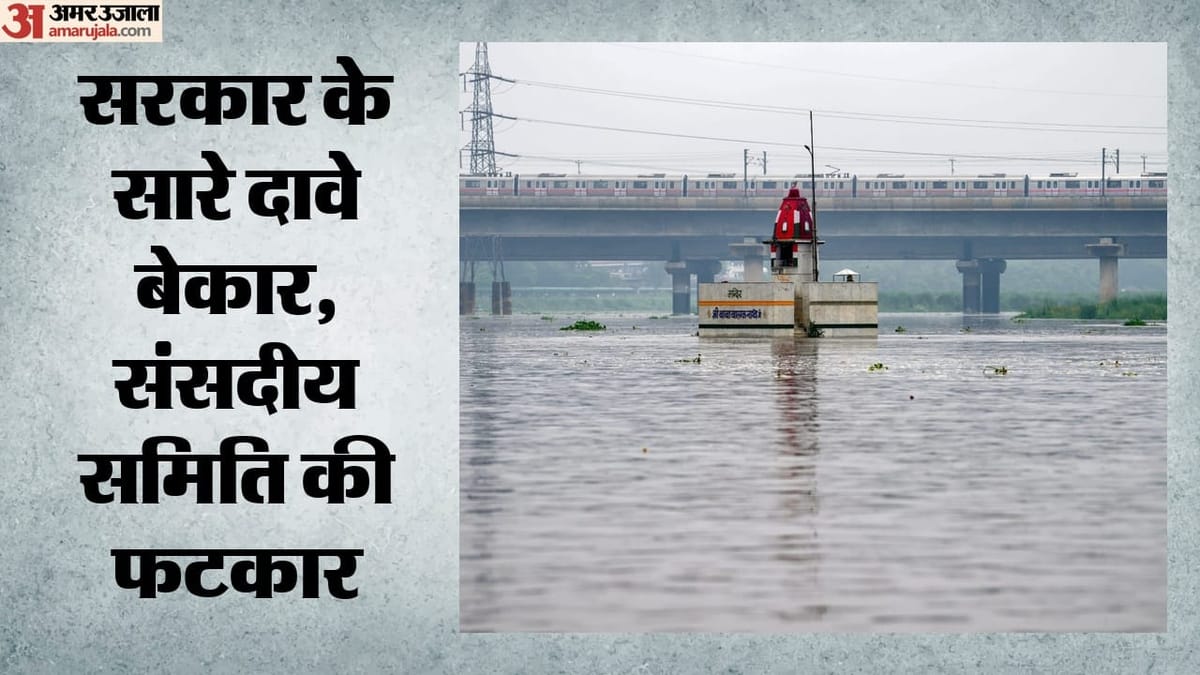 Delhi: करोड़ों रुपये खर्च करने के बाद भी न साफ हो सकी दिल्ली की हवा और न सुधरी यमुना की सेहत, कई सिफारिशें