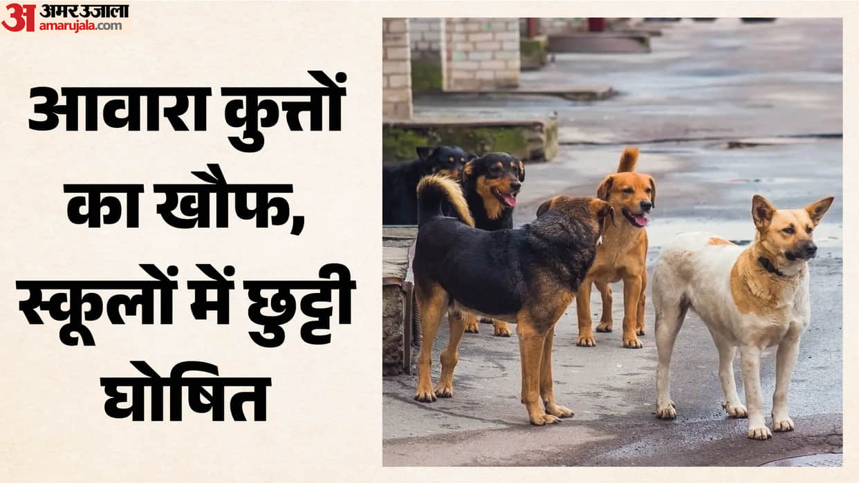 Chamoli: Menace of stray dogs holidays declared until August 23 for 10 schools in the Narayanbagar and Nalgaon