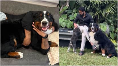 Jr NTR shared emotional post for his pet dog bagheera on social media