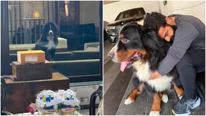Jr NTR shared emotional post for his pet dog bagheera on social media