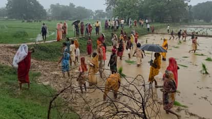 Team arriving remove encroachment forest land pelted stones attacked with sticks clubs Lekhpals injured