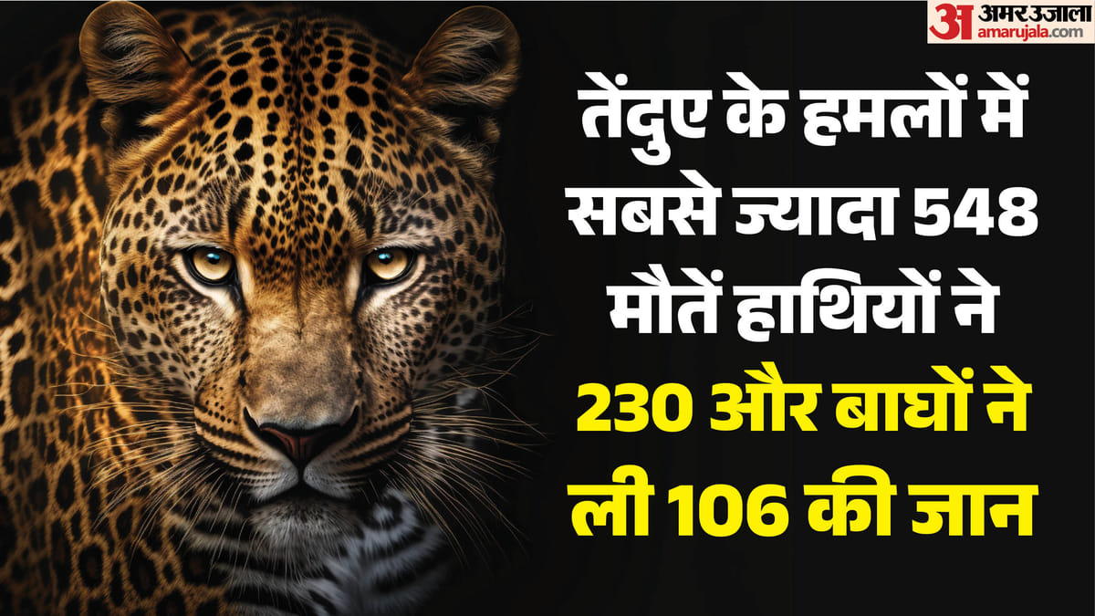 Uttarakhand: मानव-वन्यजीव संघर्ष, 25 साल में 954 लोगों की मौत, तेंदुए के हमलों में सबसे ज्यादा 548 जानें गईं