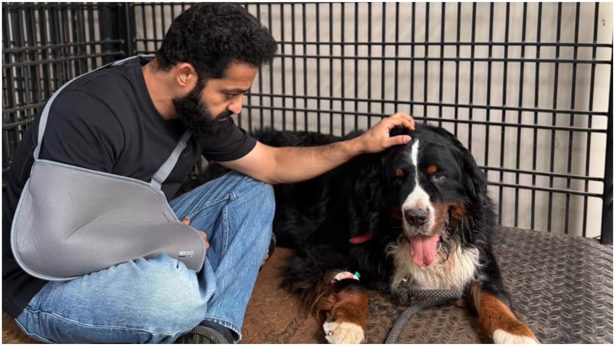 Jr NTR shared emotional post for his pet dog bagheera on social media