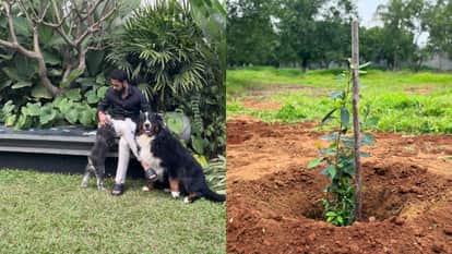 Jr NTR shared emotional post for his pet dog bagheera on social media