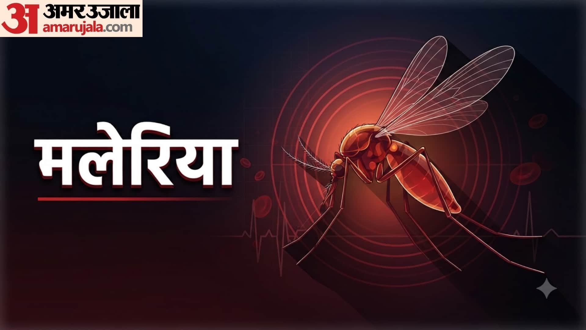 मच्छर के काटने से हो सकती हैं ये गंभीर बीमारियां
