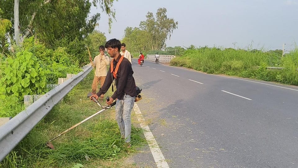 Impact of Amar Ujala Report: Overgrown Grass Being Cleared Along Agra-Jaipur Highway