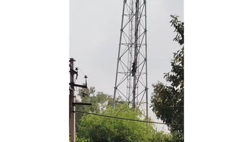 Woman climbs mobile tower in Ambala City after dispute with husband.