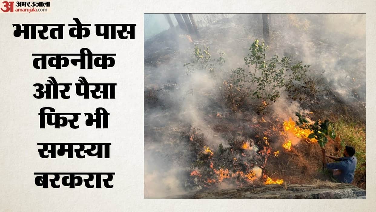 Uttarakhand 4879 Forest Fire Alerts Only 12.5 pc Accurate Is System Lacking Reliability