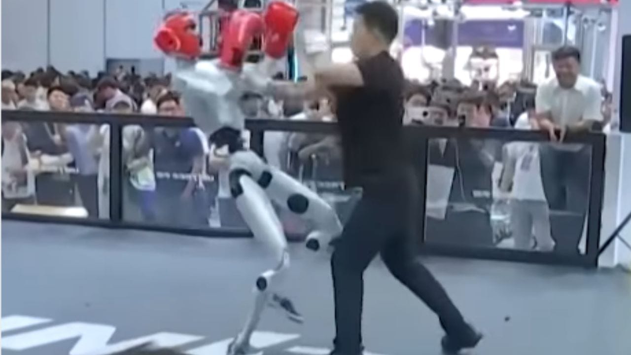 world robot conference beijing 2026 unitree humanoid robot boxing with human viral video