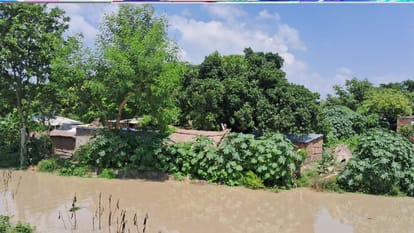 Saryu river 37 cm above danger mark in Basti; water enters several villages.