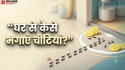 चींटियां घर से भगाने के तरीके?